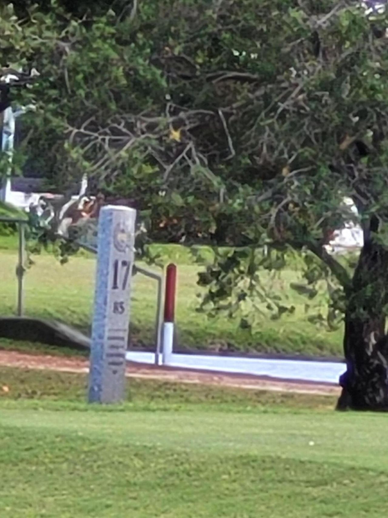 300 SW Golfview Terrace, Unit 142, Boynton Beach, FL 33426 Photo