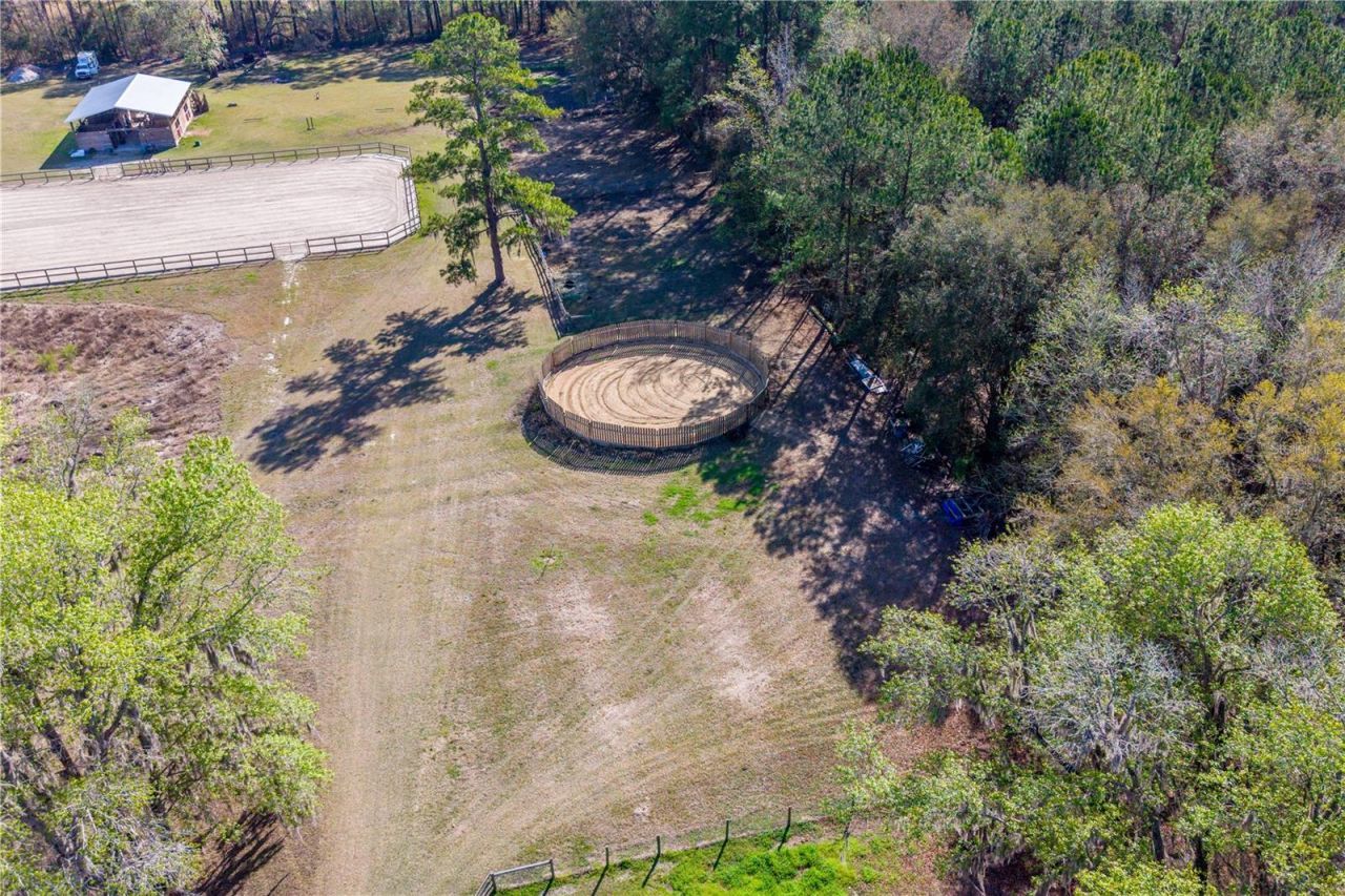 16242 NW 130th Street, Williston, FL 32696 Photo