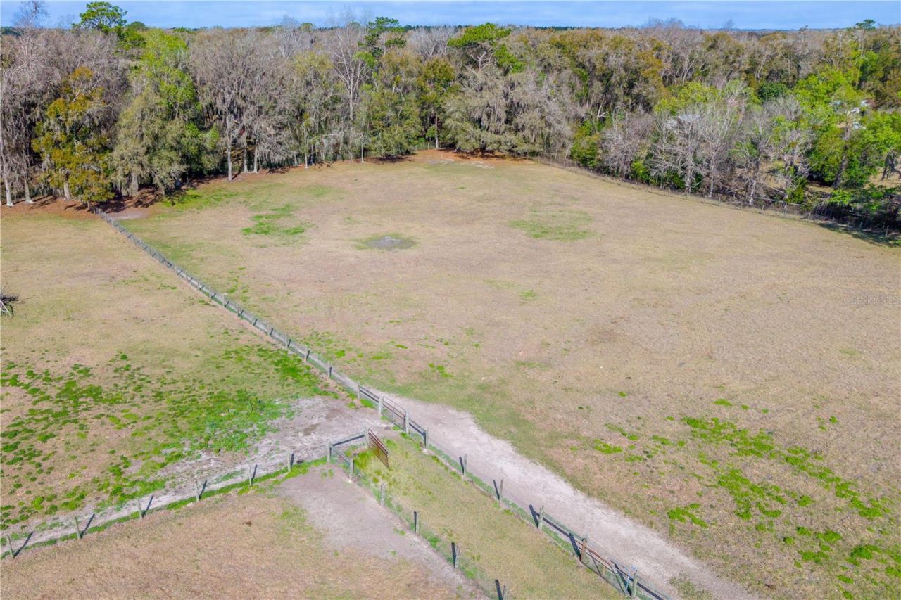 16242 NW 130th Street, Williston, FL 32696 Photo