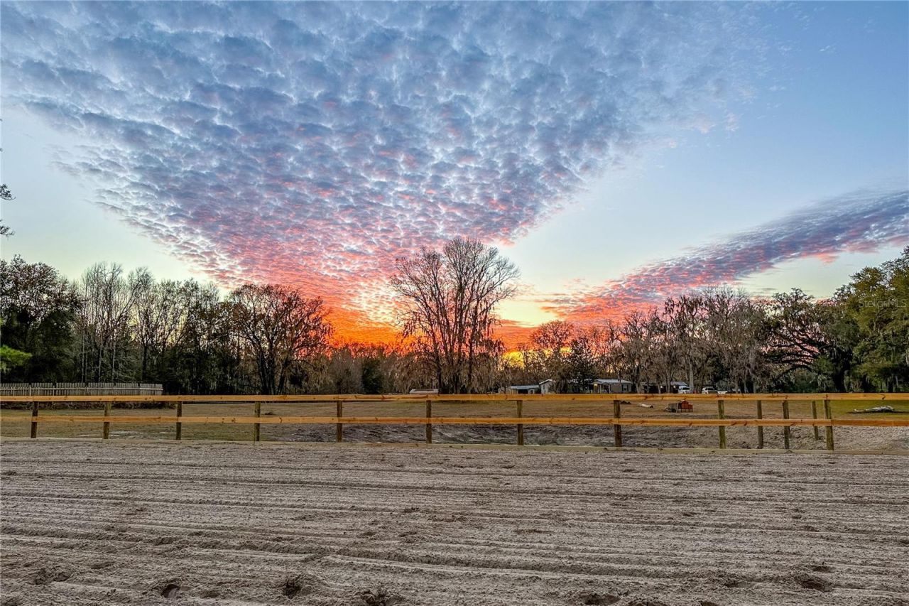 16242 NW 130th Street, Williston, FL 32696 Photo