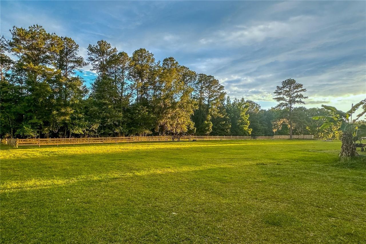 16242 NW 130th Street, Williston, FL 32696 Photo