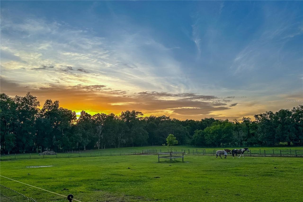 16242 NW 130th Street, Williston, FL 32696 Photo