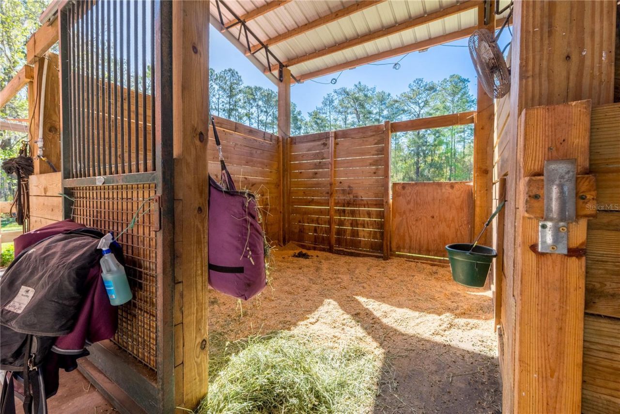 16242 NW 130th Street, Williston, FL 32696 Photo