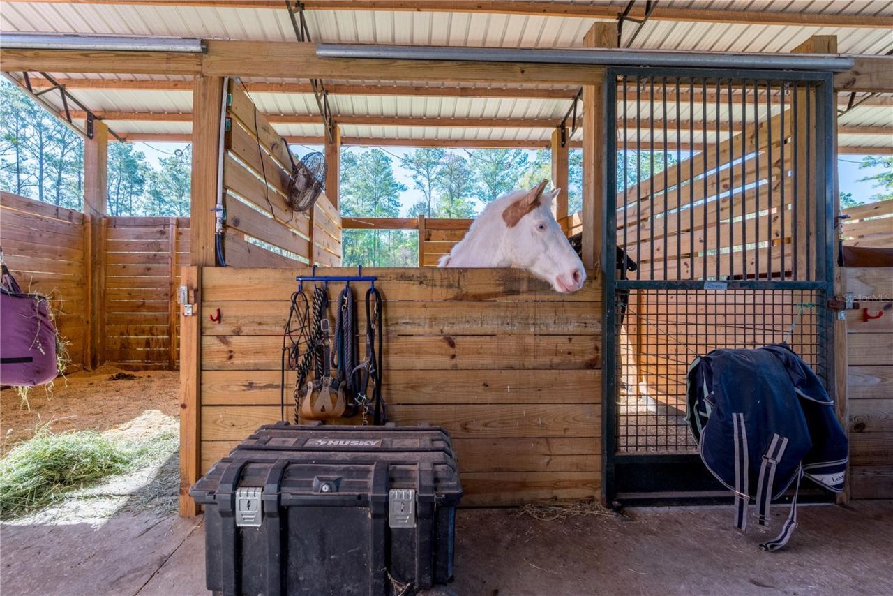 16242 NW 130th Street, Williston, FL 32696 Photo