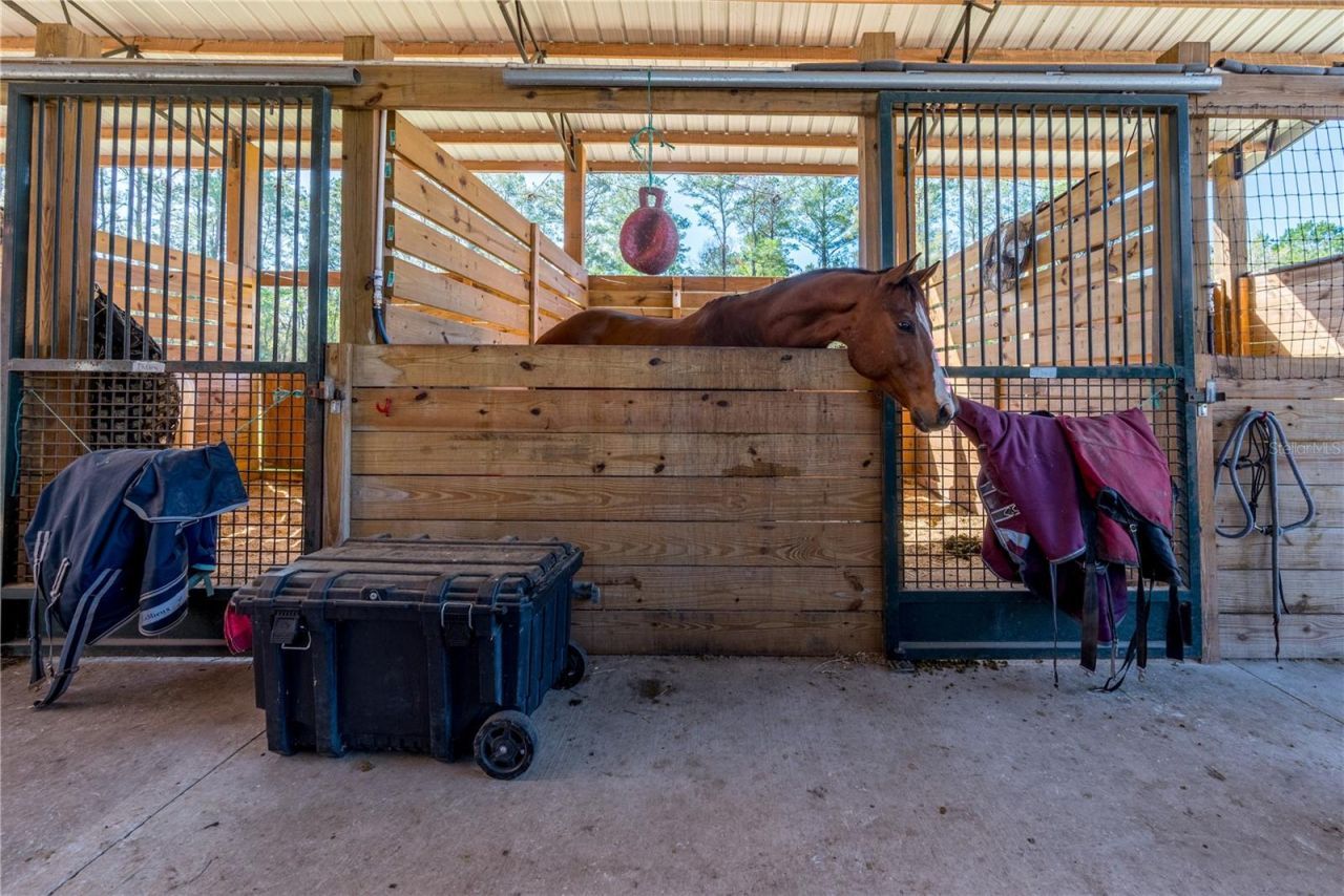 16242 NW 130th Street, Williston, FL 32696 Photo