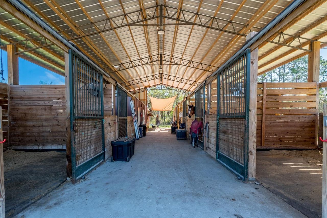 16242 NW 130th Street, Williston, FL 32696 Photo