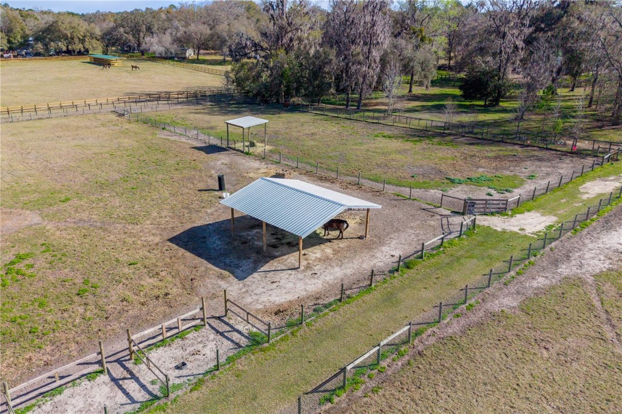 16242 NW 130th Street, Williston, FL 32696 Photo