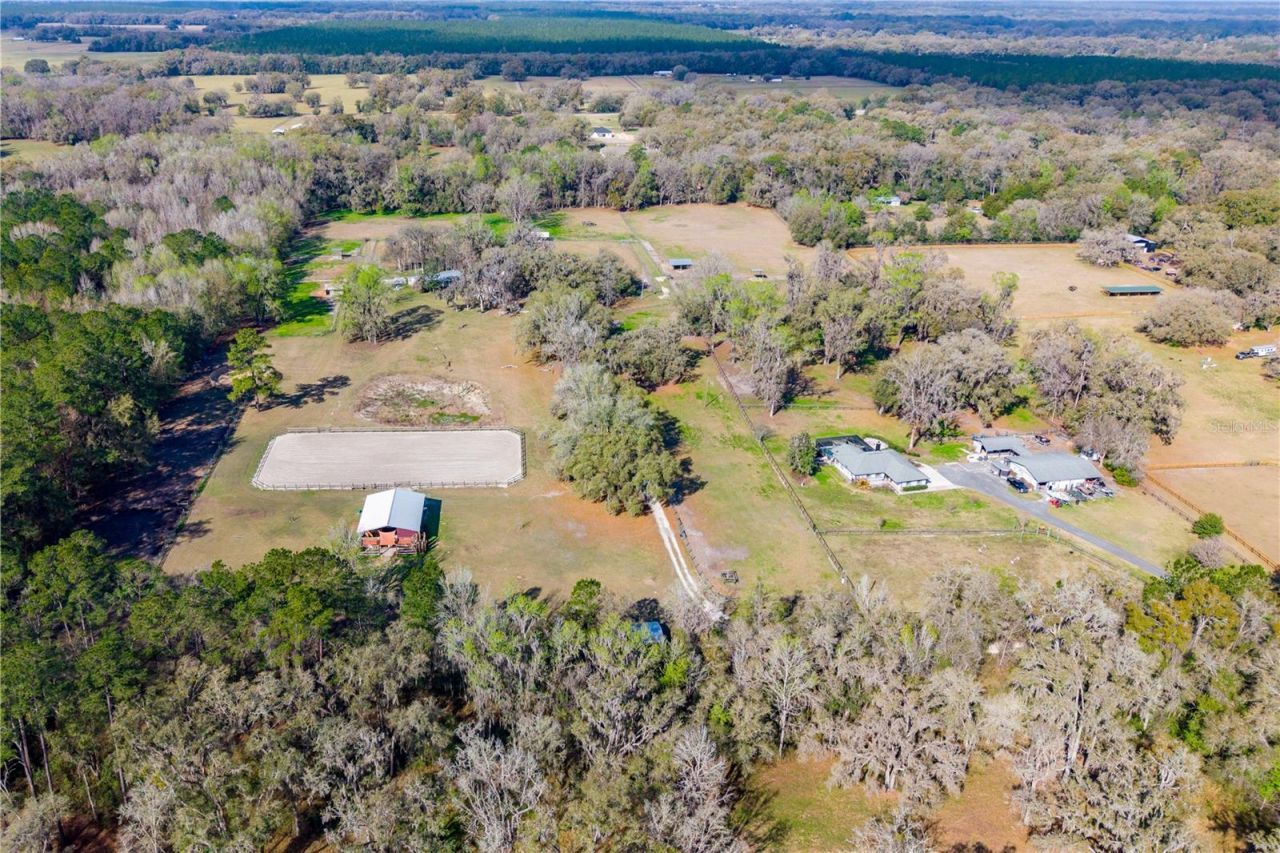 16242 NW 130th Street, Williston, FL 32696 Photo