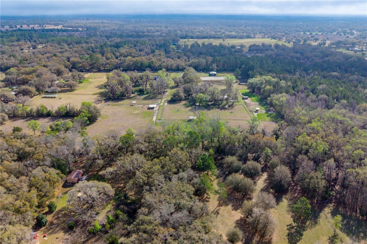 16242 NW 130th Street, Williston, FL 32696 Photo