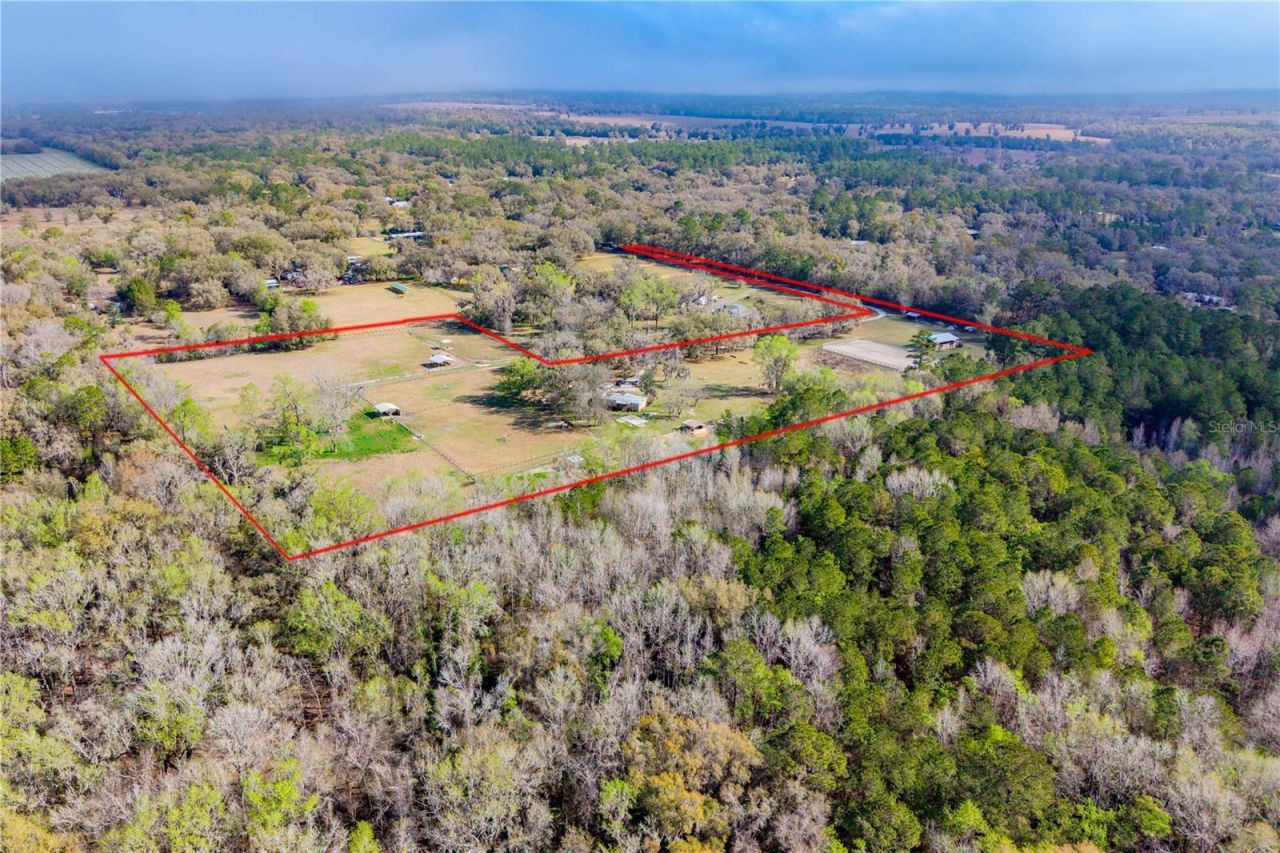 16242 NW 130th Street, Williston, FL 32696 Photo