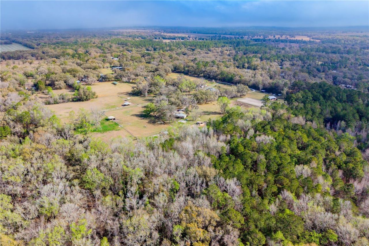 16242 NW 130th Street, Williston, FL 32696 Photo