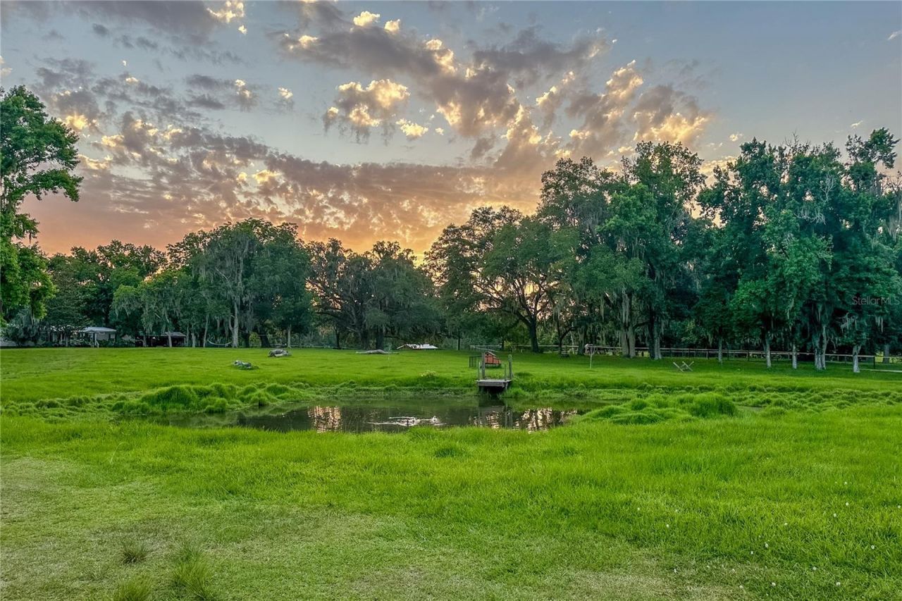 16242 NW 130th Street, Williston, FL 32696 Photo