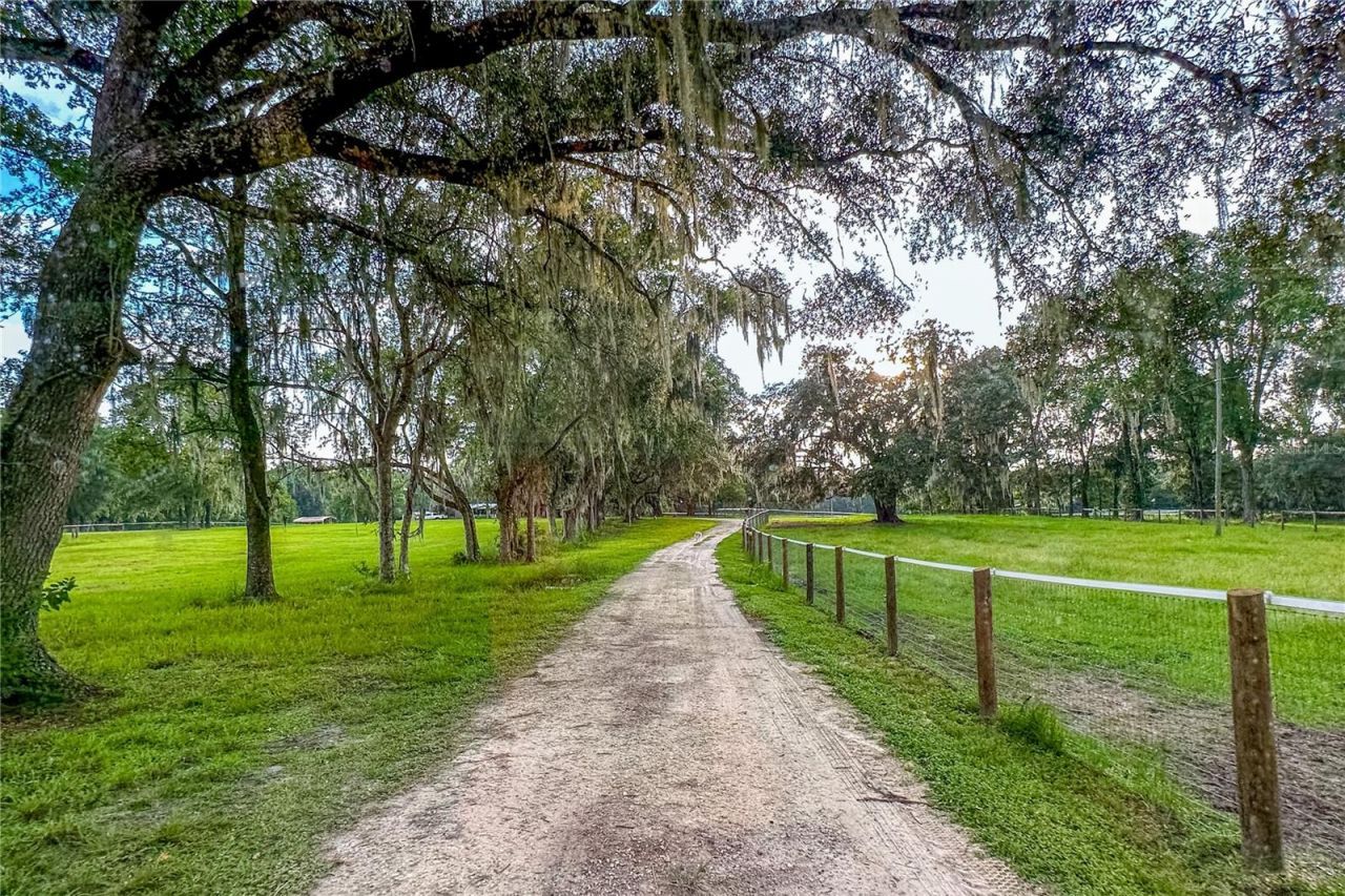 16242 NW 130th Street, Williston, FL 32696 Photo