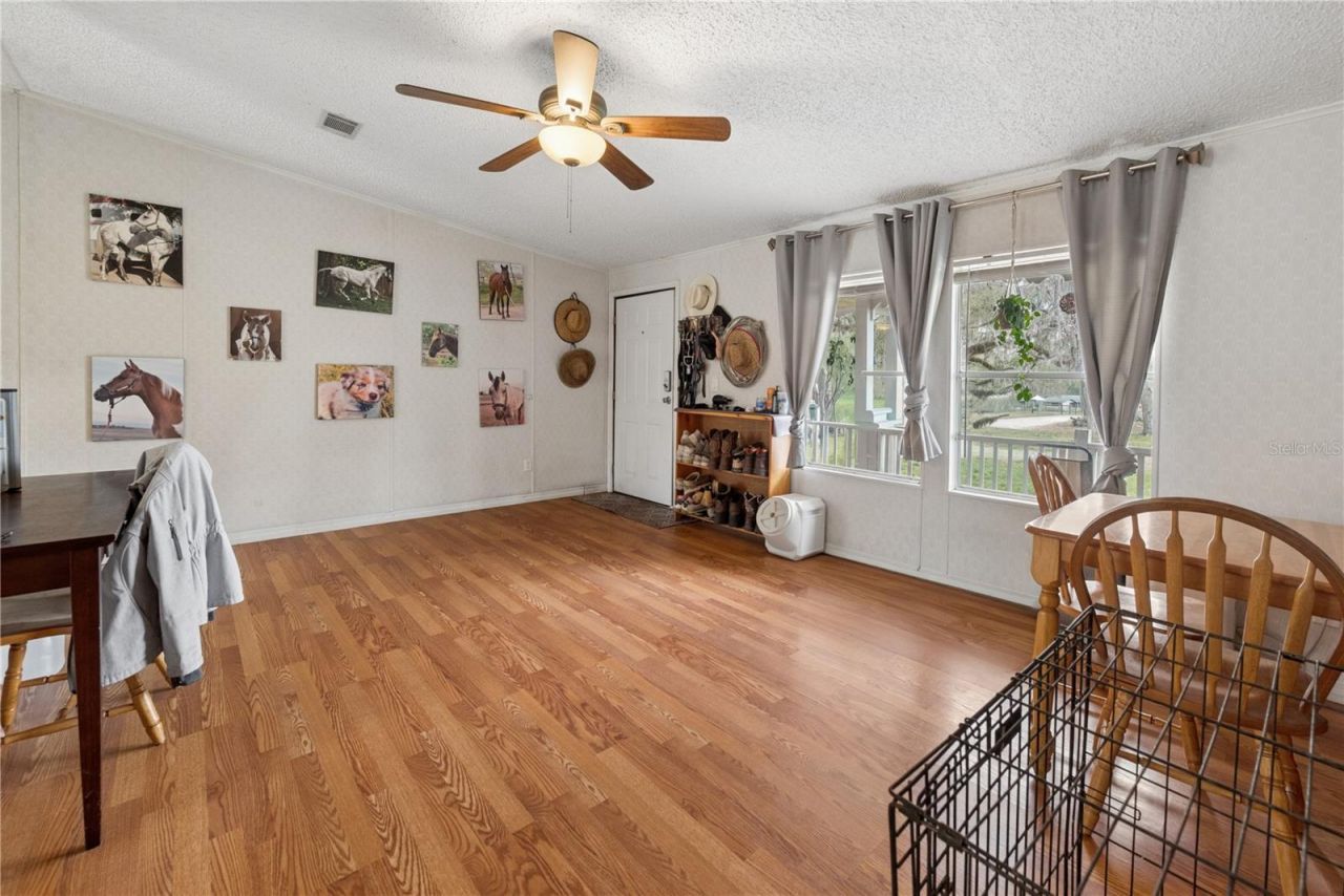 16242 NW 130th Street, Williston, FL 32696 Photo