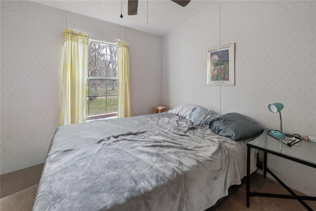 16242 NW 130th Street, Williston, FL 32696 Photo