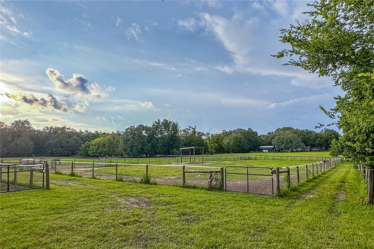 16242 NW 130th Street, Williston, FL 32696 Photo