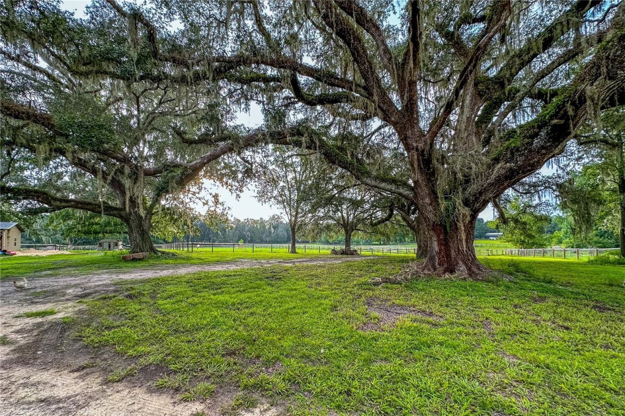 16242 NW 130th Street, Williston, FL 32696 Photo