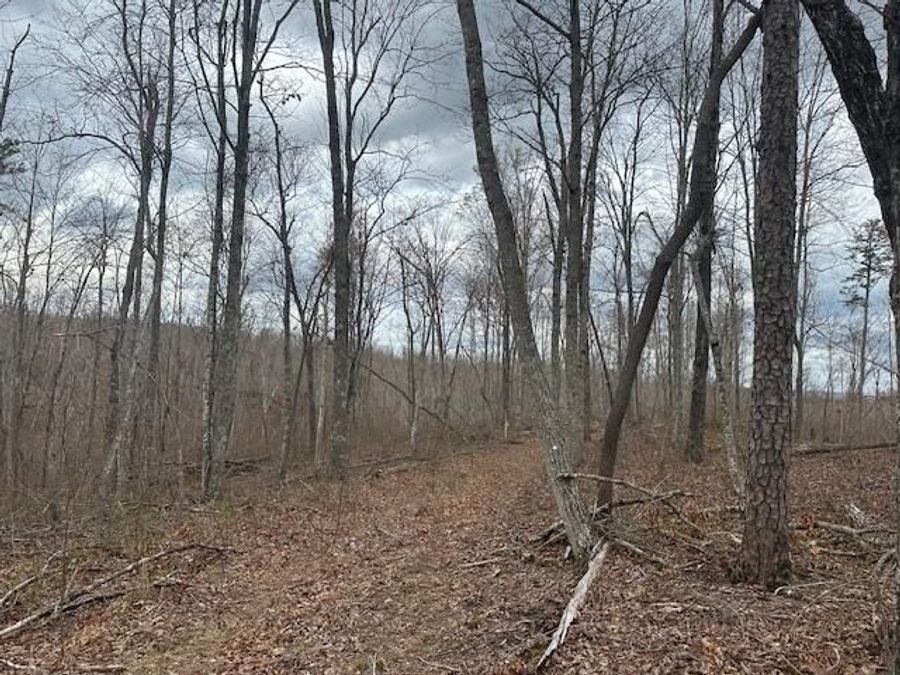 Property Image 66