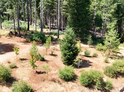 480 Pike City, North San Juan, CA 95960 Photo