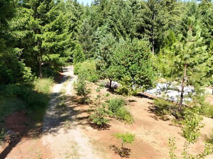 480 Pike City, North San Juan, CA 95960 Photo
