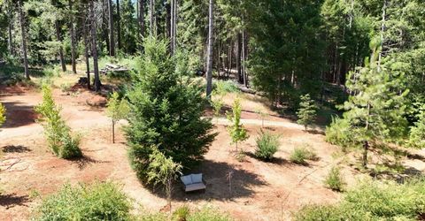 480 Pike City, North San Juan, CA 95960 Photo