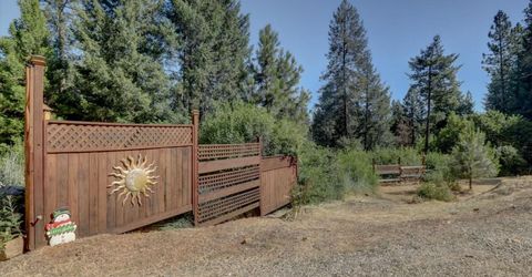 480 Pike City, North San Juan, CA 95960 Photo