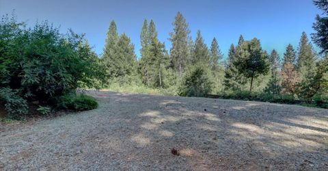 480 Pike City, North San Juan, CA 95960 Photo