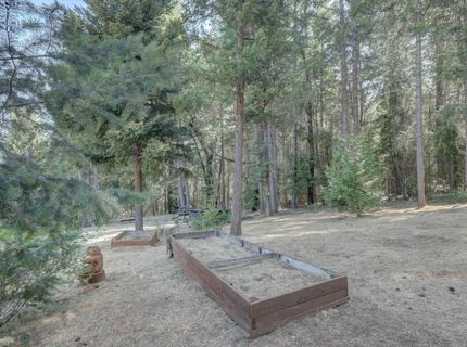 480 Pike City, North San Juan, CA 95960 Photo