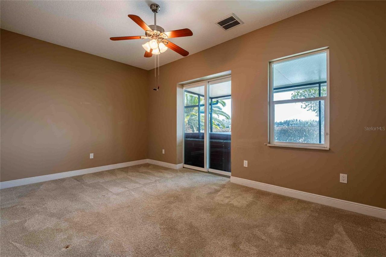 6716 Magnolia Point Drive, Land O Lakes, FL 34637 Photo