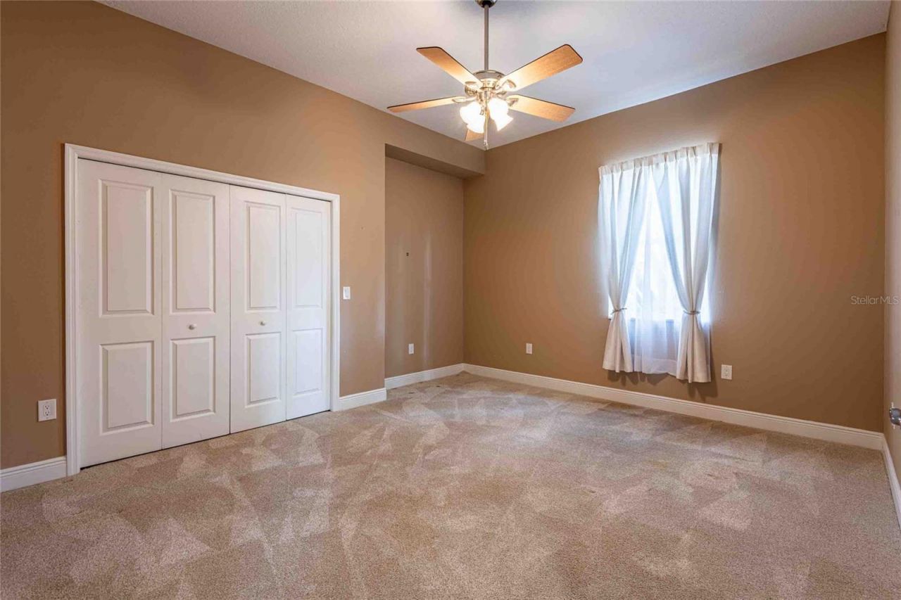 6716 Magnolia Point Drive, Land O Lakes, FL 34637 Photo