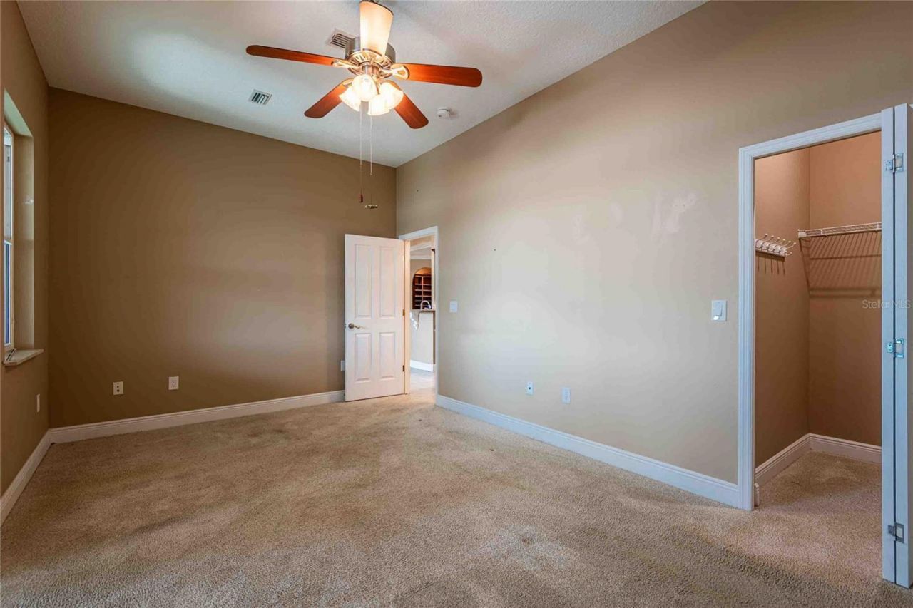 6716 Magnolia Point Drive, Land O Lakes, FL 34637 Photo