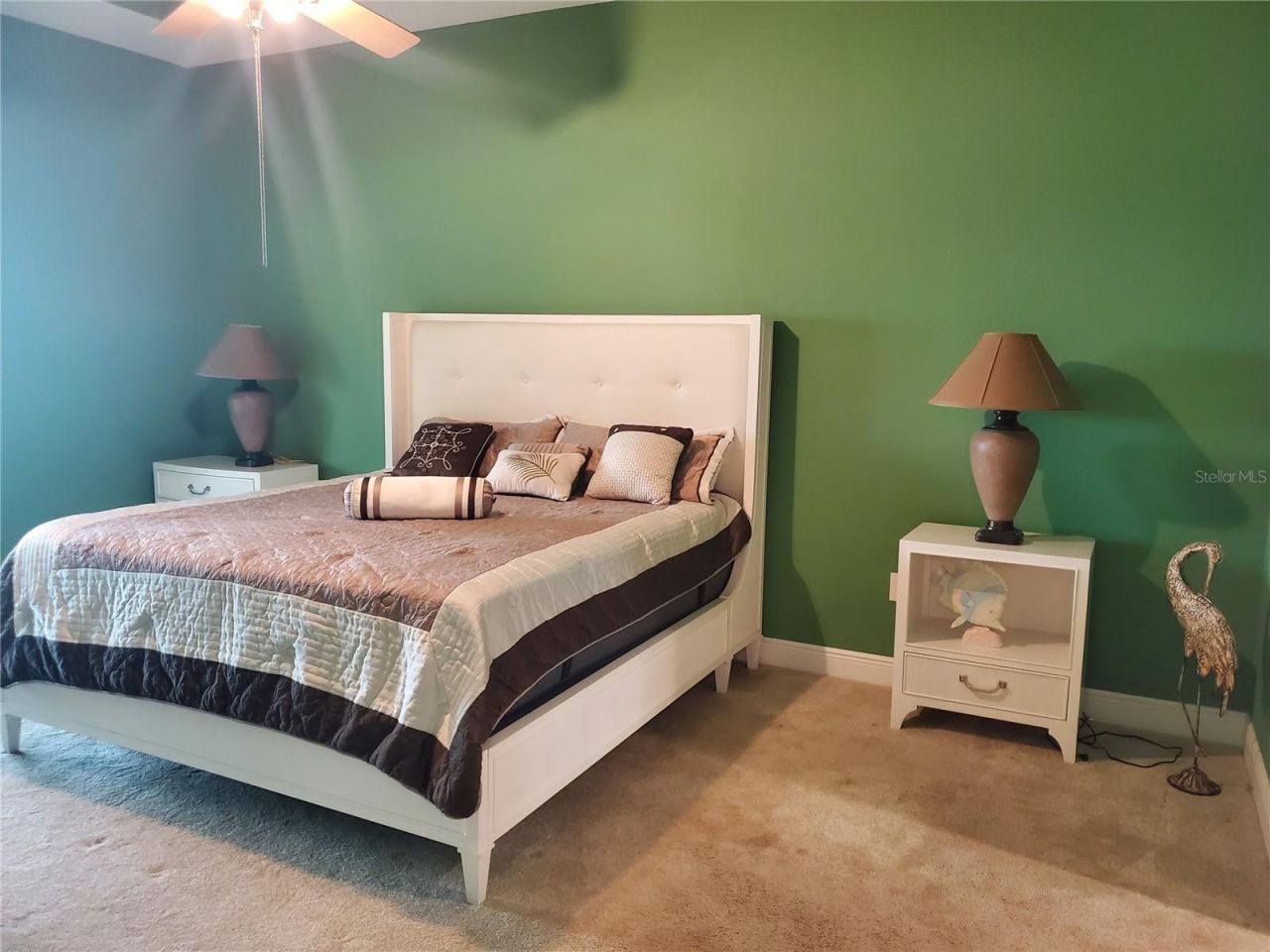 6716 Magnolia Point Drive, Land O Lakes, FL 34637 Photo