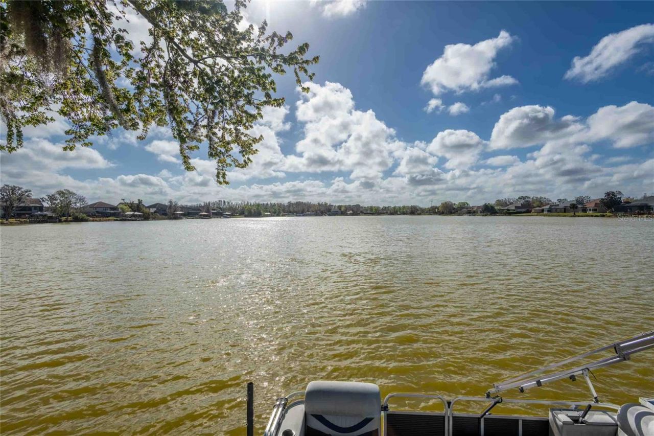 6716 Magnolia Point Drive, Land O Lakes, FL 34637 Photo