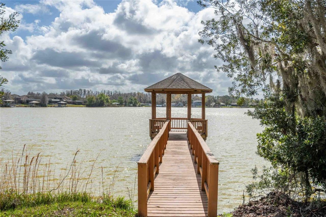6716 Magnolia Point Drive, Land O Lakes, FL 34637 Photo