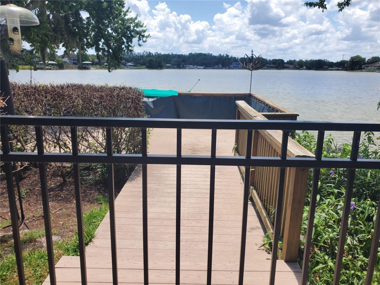 6716 Magnolia Point Drive, Land O Lakes, FL 34637 Photo