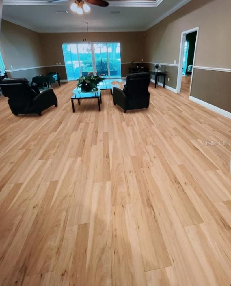 6716 Magnolia Point Drive, Land O Lakes, FL 34637 Photo