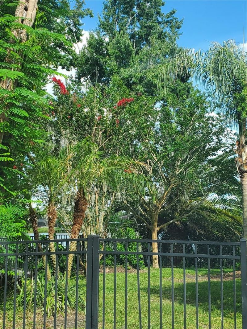 6716 Magnolia Point Drive, Land O Lakes, FL 34637 Photo