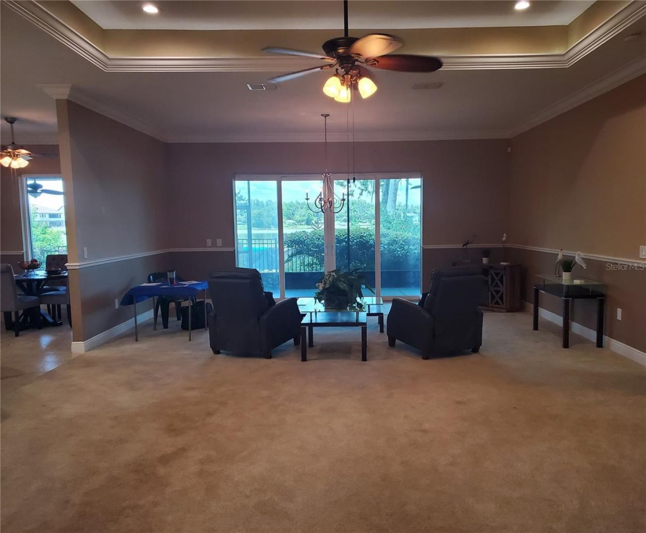 6716 Magnolia Point Drive, Land O Lakes, FL 34637 Photo
