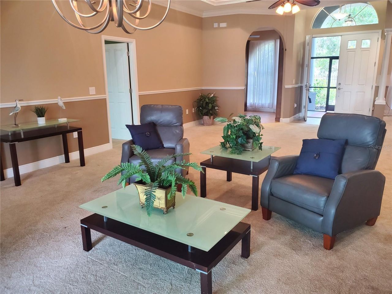 6716 Magnolia Point Drive, Land O Lakes, FL 34637 Photo