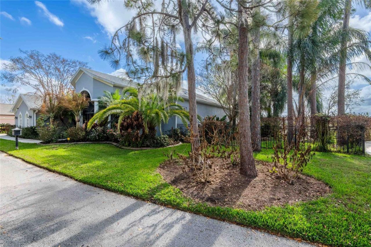 6716 Magnolia Point Drive, Land O Lakes, FL 34637 Photo