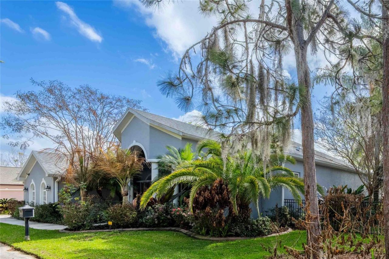 6716 Magnolia Point Drive, Land O Lakes, FL 34637 Photo