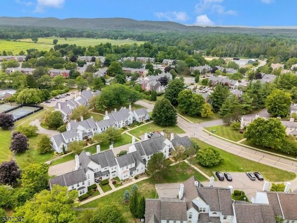 3 Ruffed Grouse, Allamuchy, NJ 07840