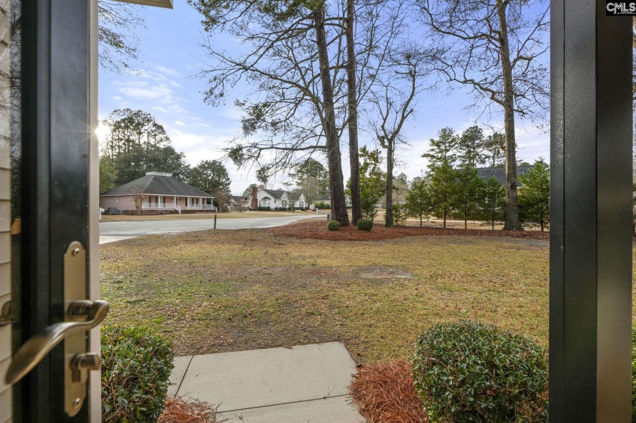 135 Litchfield Court  Photo 24