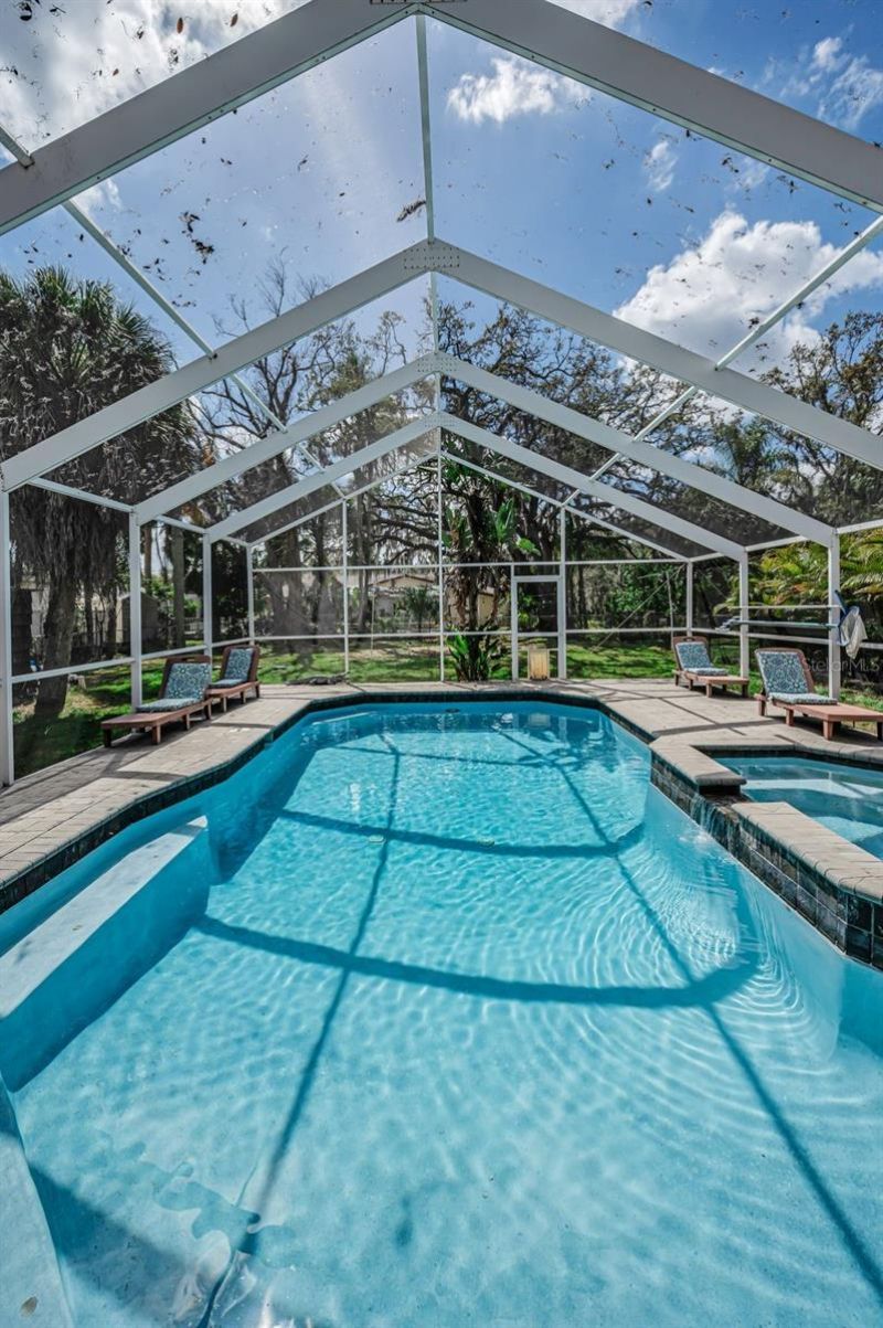 5038 Sunset Boulevard, Port Richey, FL 34668 Photo