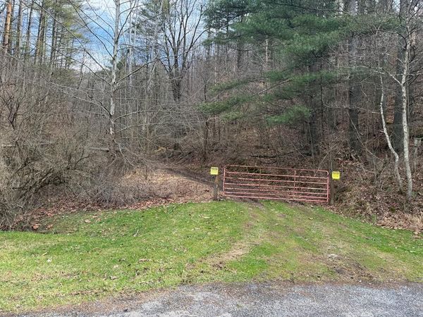 TBD Willey Fork Road, Other, WV 26585