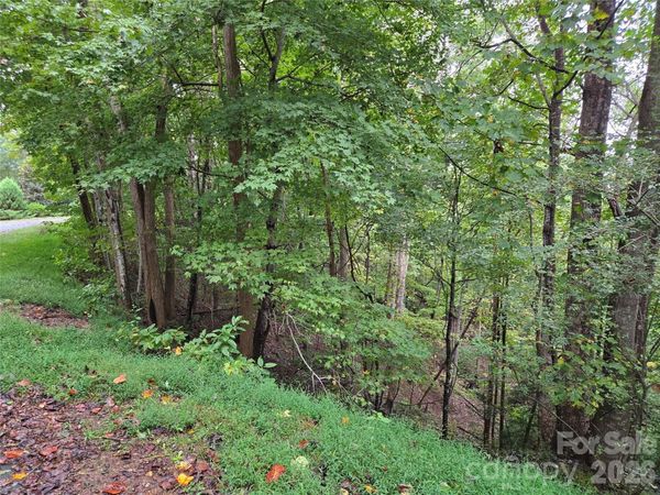 0 Waterside Drive , Lake Lure, NC 28746