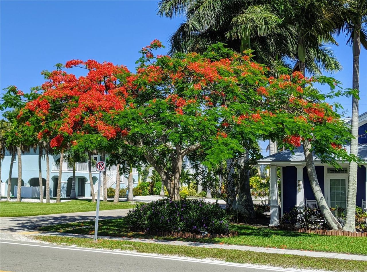 2808 60th Avenue W, Unit 1702, Bradenton, FL 34207 Photo