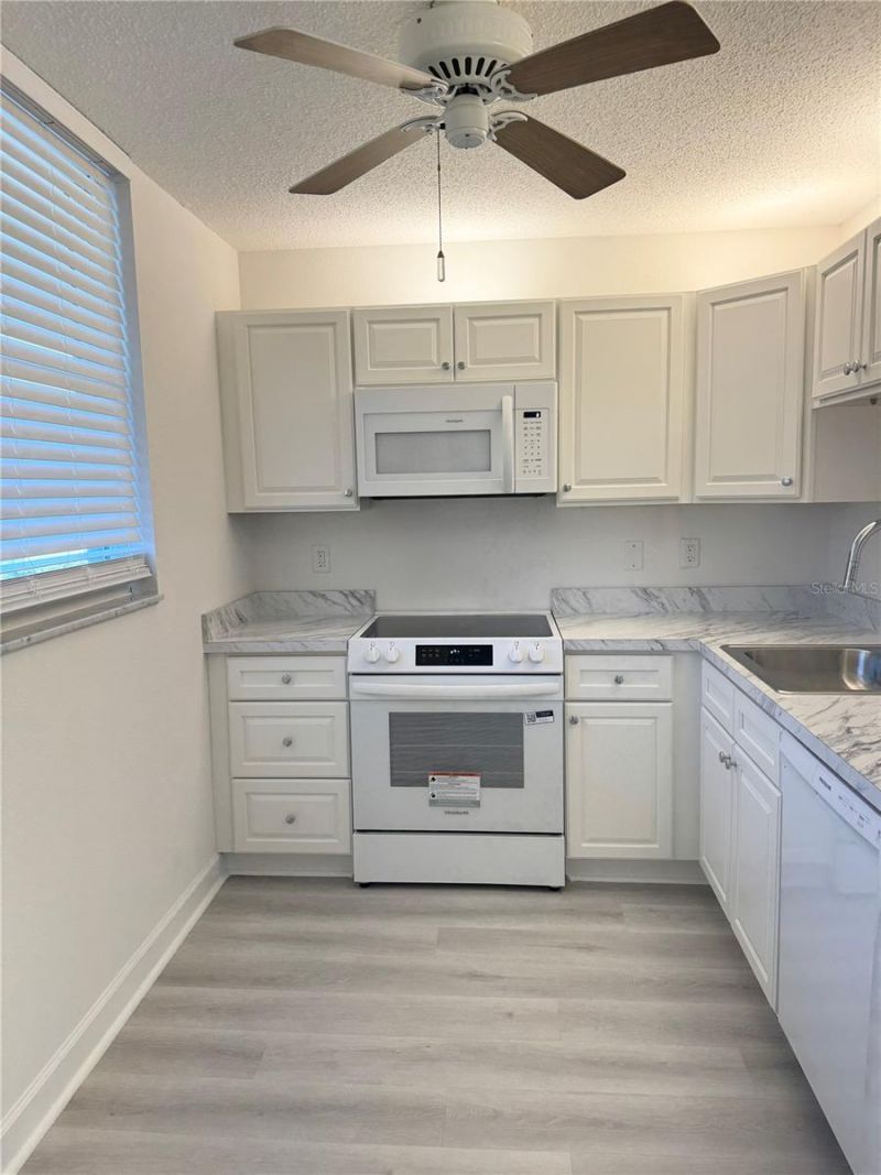 7425 Bay Island Drive S, Unit 103, South Pasadena, FL 33707 Photo