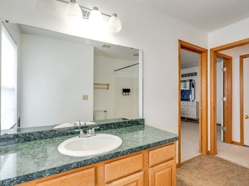 5223 Queen Ann Way, Painesville, OH 44077 Photo 17