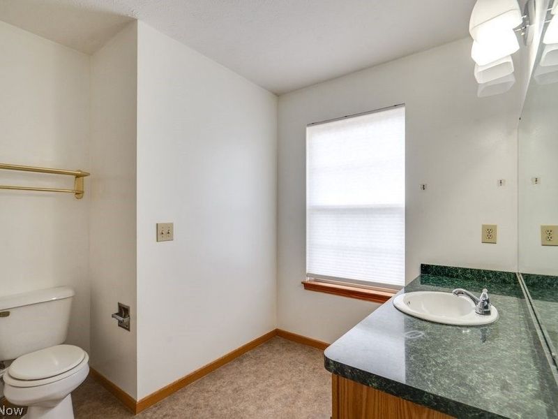 5223 Queen Ann Way, Painesville, OH 44077 Photo 20